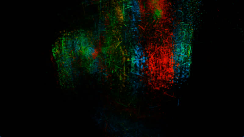 Sculpt Void Full Color – Kugelringe, view 6