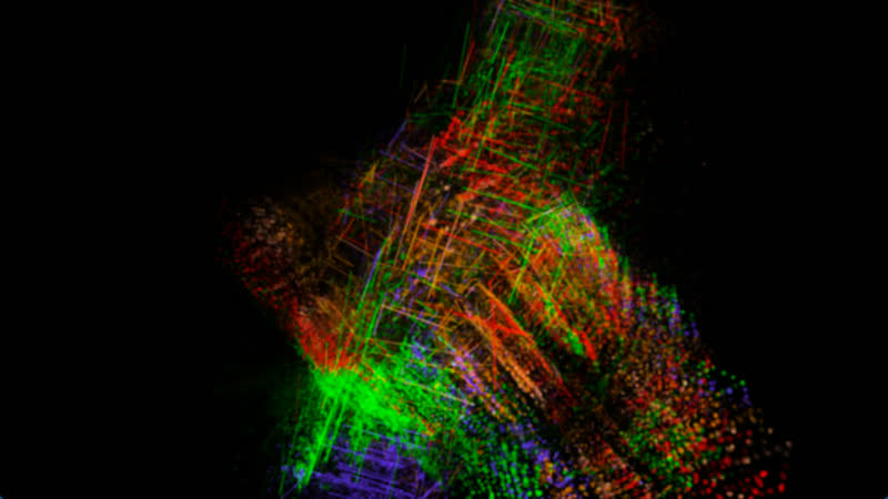 Sculpt Void Full Color – Ringkern, view 5