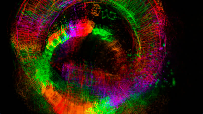 Sculpt Void Full Color – Würfelringe, view 3