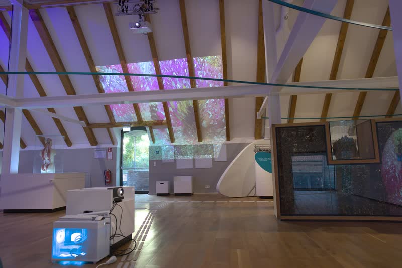 Setting up Farbexplosion at the Westfälische Salzwelten, 17 October 2026